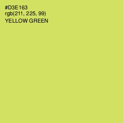 #D3E163 - Yellow Green Color Image